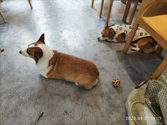 -KYO COFFEE(胶州路店)