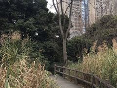-成都市活水公园