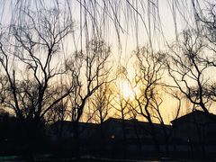 -玲珑塔公园