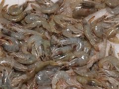 -麦德龙(郑东店)