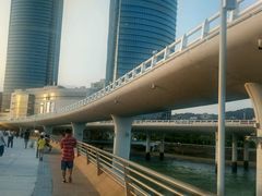 -演武大桥观景平台