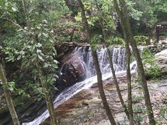 -燕子河大峡谷天坑仙境