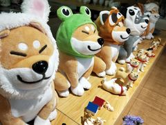 -柴务处·柴犬主题狗咖