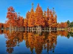 -白鹭湾湿地公园