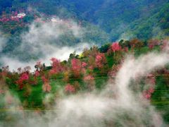-无量山自然风景保护区