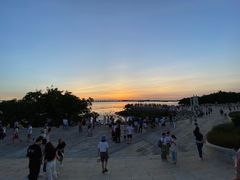 -宝安西湾红树林湿地公园