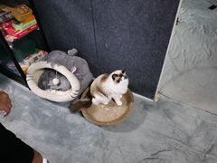 -零纪元VR体验馆·桌游(黄浦店)