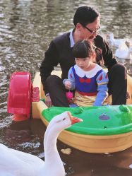 -上美四季动物农场