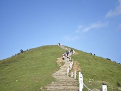 -大姆山草场
