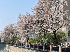 -红星桥(地铁站)