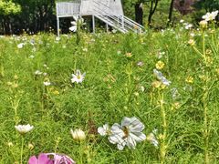 -祥源·阜阳生态乐园