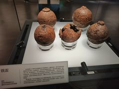 -重庆中国三峡博物馆(重庆博物馆)