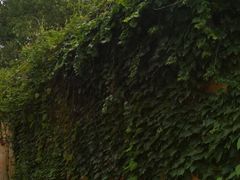 -吴兴寺