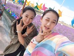 -草原天路(张北县)