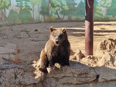-济南野生动物世界