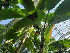 -北京植物园-展览温室