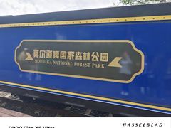 -莫尔道嘎国家森林公园