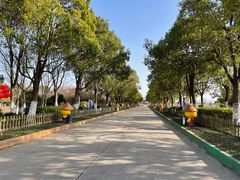 -上海都市菜园