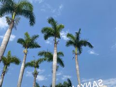 -三亚亚龙湾万豪度假酒店