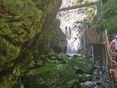 -牛背梁国家森林公园