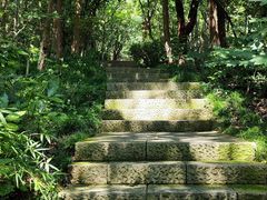 -杭州半山国家森林公园