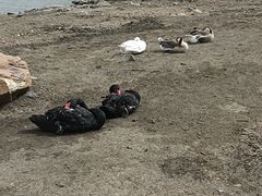 -长春市南湖公园