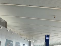 -合肥新桥国际机场-航站楼