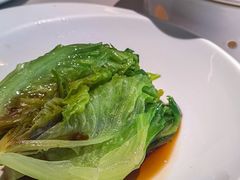 白灼唐生菜-维园悦谱·海派家常菜(乌鲁木齐南路店)