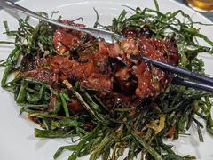 -新吉士·上海菜(浦东LCM置汇旭辉店)