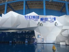 -泉城欧乐堡海洋极地世界