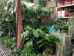 -秦美花卉(天朗·莱茵小城2期店)