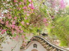 -深圳国际园林花卉博览园