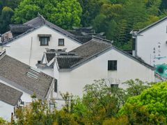 -树山生态村