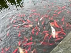 -活水公园