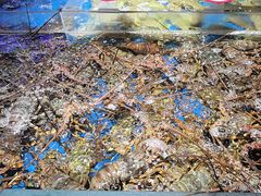 -徐记海鲜(大雁塔|金都店)