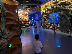 -芜湖新华联大白鲸海洋公园