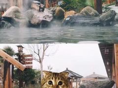 -华山御温泉度假村