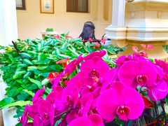 -利顺德大饭店·维多利亚花园(小白楼店)