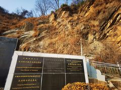 -金钉子远古世界景区