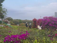 -东莞植物园