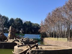 -合肥野生动物园