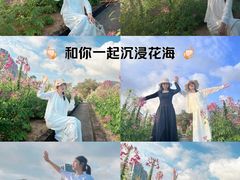 -玫瑰海岸文化旅游度假区