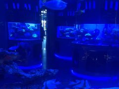 -上和臻品中国菜(花园街店)