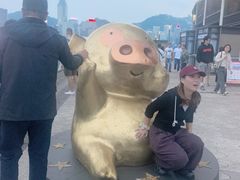 -星光大道