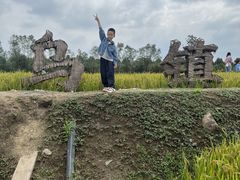 -乌村
