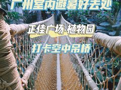 -正佳雨林生态植物园
