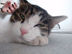 -UNIUNI(凯瑟琳广场店)