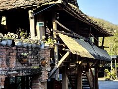 -野象谷景区