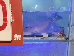 -鱼酷活鱼烤鱼(南京水游城店)