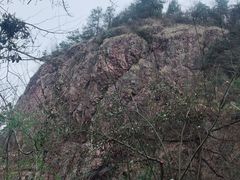 -四明山国家森林公园
